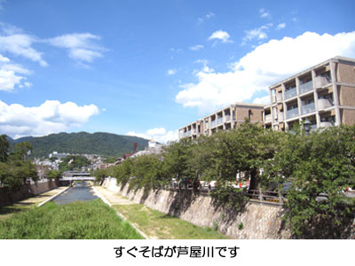 【リノベーション：RE36芦屋市502】